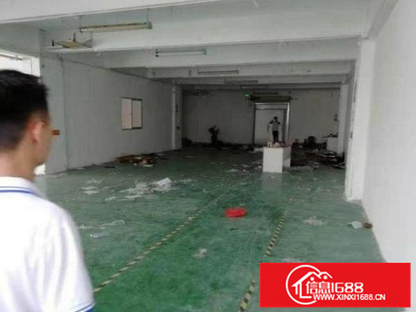 光明西环大道原房东，一楼厂房450平出租，不需转让费