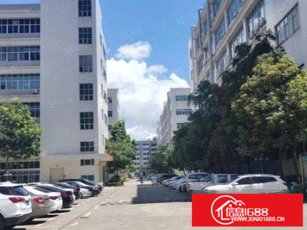 布吉布澜路附近原房东直租1300平红本厂房可申请高