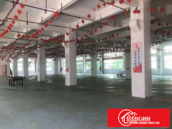 坪山大工业区红本厂房23楼各2500出租分租