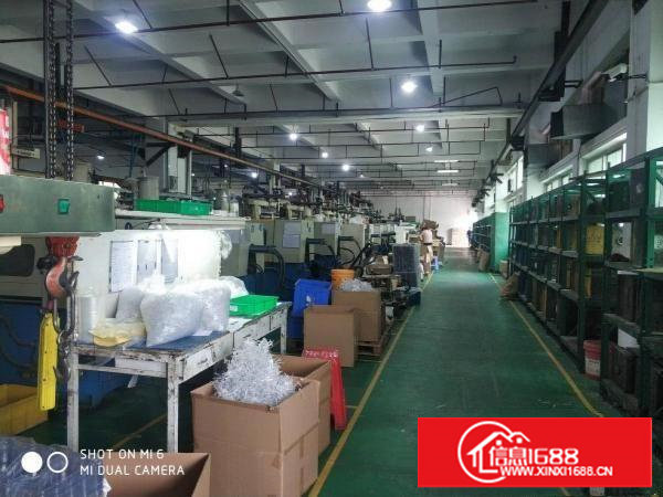 沿江高速长安厦岗原房东1500平厂房出租可分租不堵车