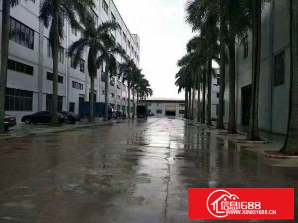 常平上坑新出标准厂房1-2层3200平方招租水电齐全带牛角