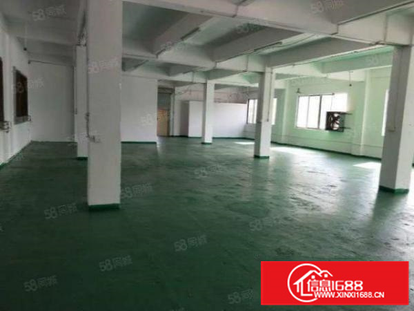 石排水贝工业区标准一楼750平方招租，水电齐全，有办公室装修