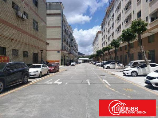 龙华大浪独门独院工业园区仓库厂房出租招租精装修2150平分租