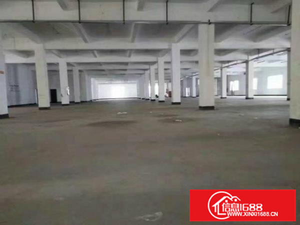 仲恺陈江独门独院11000平米厂房招租也可分租