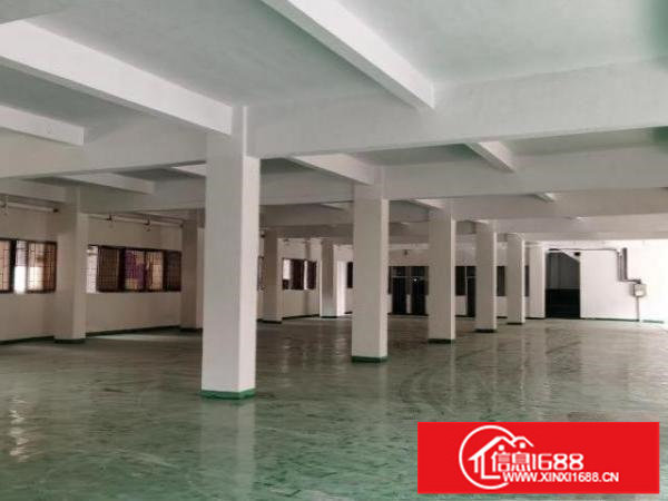 四黎中路142号新装修厂房8600平米大小分租