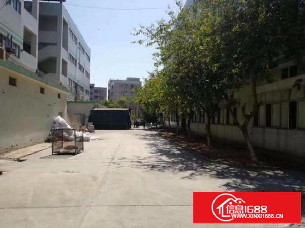 横岗主干道边新出独院厂房6400平米厂房招租