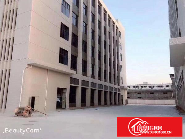 东莞市原房东一手厂房（实际面积，没有公摊）出租，一手业主厂房