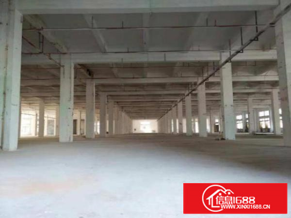 万江万江周边即将空出标准厂房一楼2600平方带独立卸货平台出