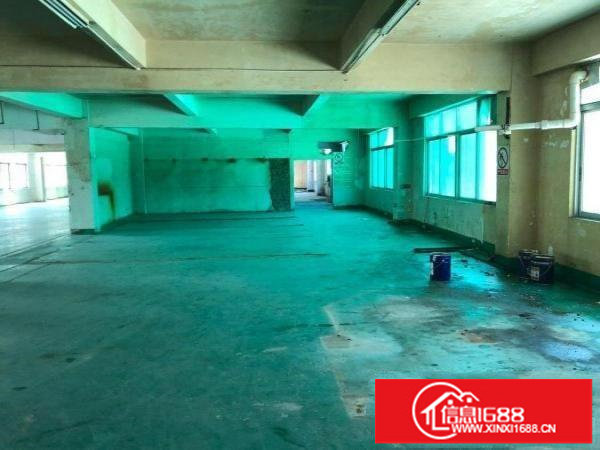 横岗六约地铁附近独立1200厂房1200平米