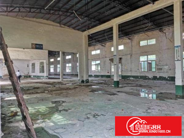 深圳20块1楼厂房！坪山碧岭新空出6米高1楼500平起分租