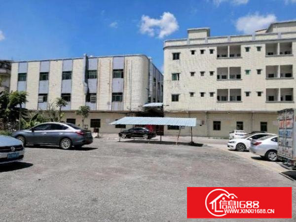 11块2000平方原房东独院标准厂房出租