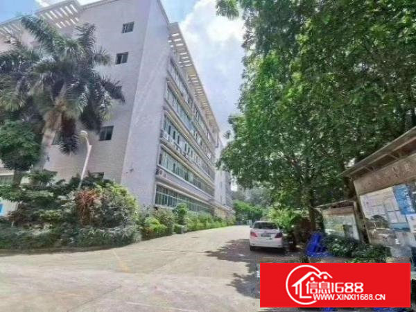 龙华油松原房东红本独院厂房出租30000平方出租