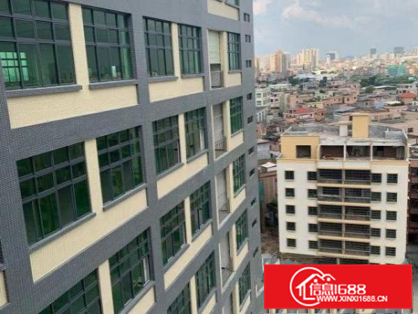 寮步新工业园区厂房全新原房东出租大小面积可分