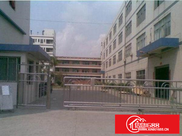 常平陈屋贝厂房一楼1300平