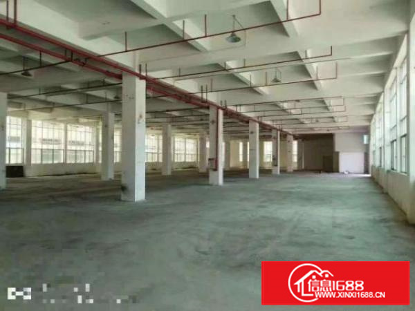 万江标准厂房分租一楼2000平方形象好