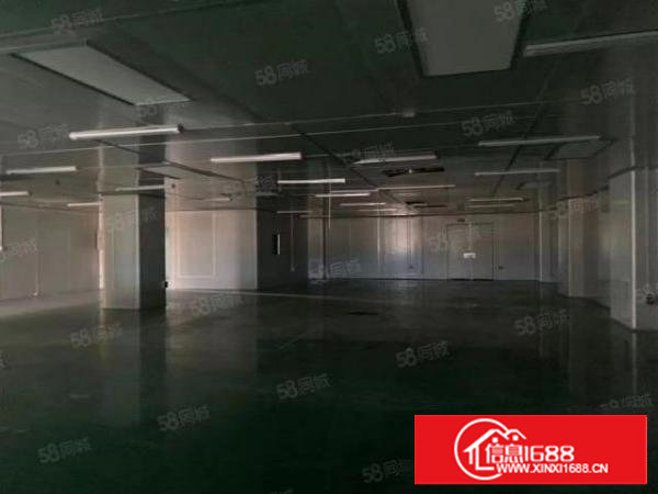 塘厦林村标准厂房1楼2800平方！天花吊顶，大小可分租