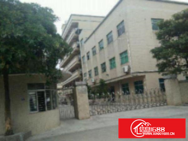 万江5000平方标准独院3层花园式厂房招租大马路边上，大货车