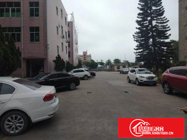 惠阳秋长带红本标准一楼300平