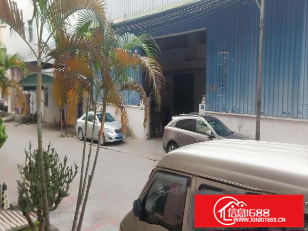 大朗长塘新出单一层钢构350平厂房可办环评交通便利易招工