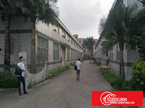 惠阳秋长4000平独栋钢构高8米空地大可分租