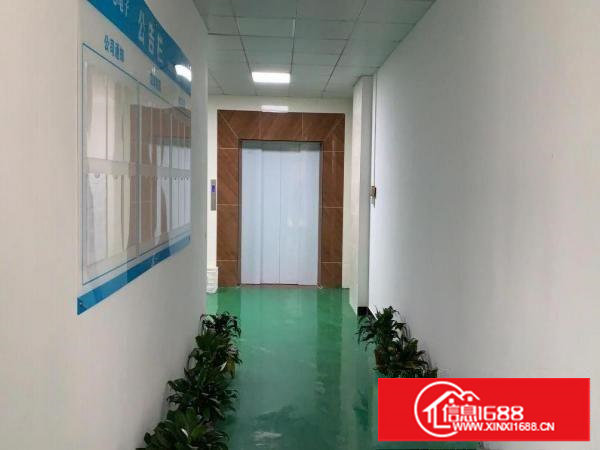 塘厦科苑城独院标准3楼900平方！地坪漆天花吊顶装修