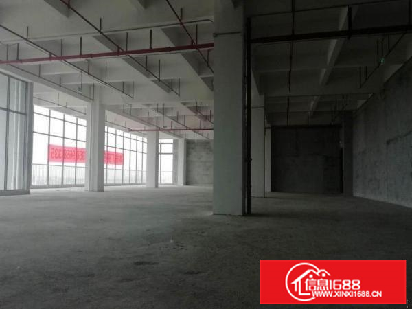 伦教业区标准厂房5200方、可分租、电大市政排污