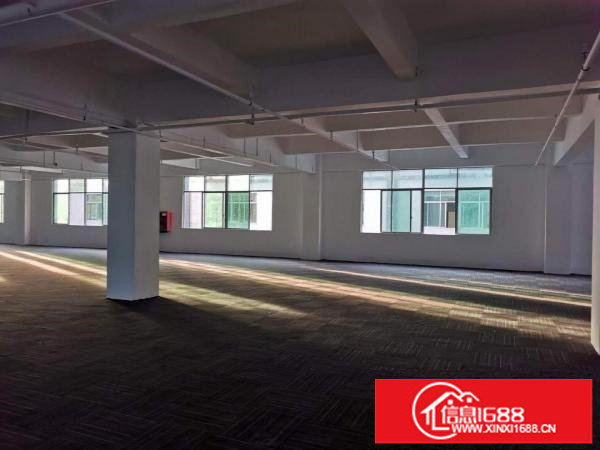 坂田地铁口厂房2300平方招租（可分租）