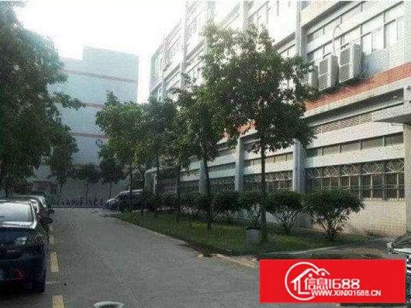 铁场村楼上900平米带装修厂房直租形象好近高速