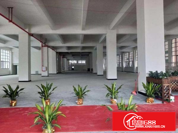 企石镇工业用地标准厂房出租