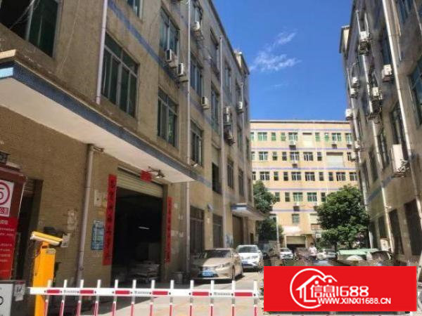 龙华大浪商业街新空出精装修3楼800平低价出租