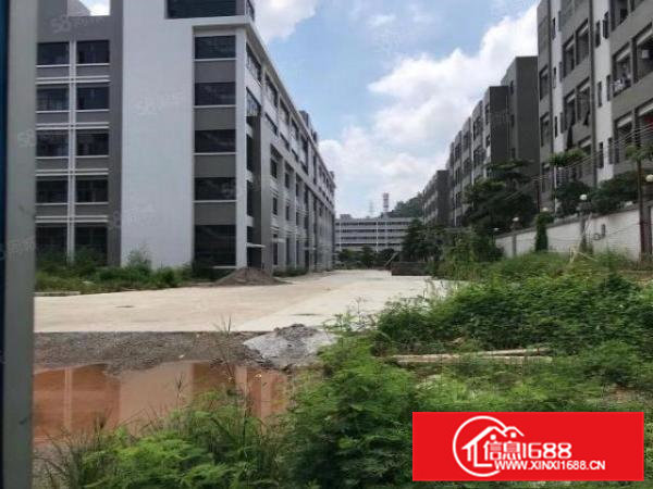 凤岗全新独院厂房总面积15680平方精装修200起分租