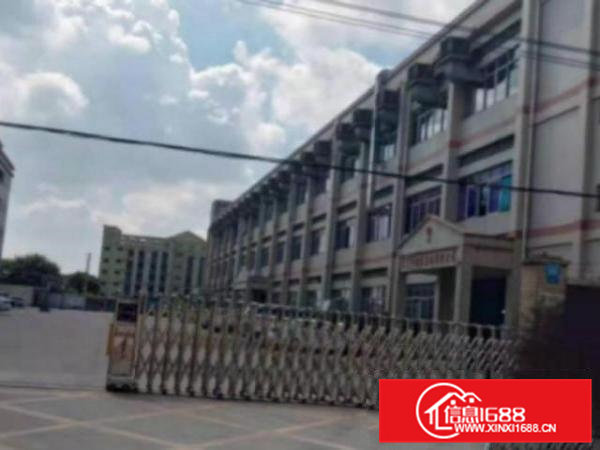 高埗标准厂房楼上2000平方出租带精装修办公室