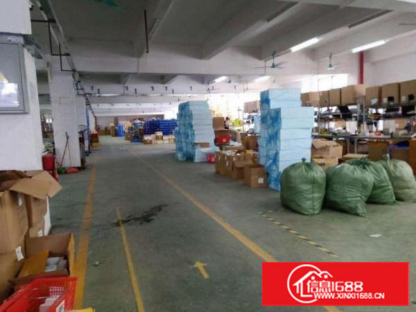 塘厦振兴围新出一楼1050平（原房东直租，还是两年前价格）