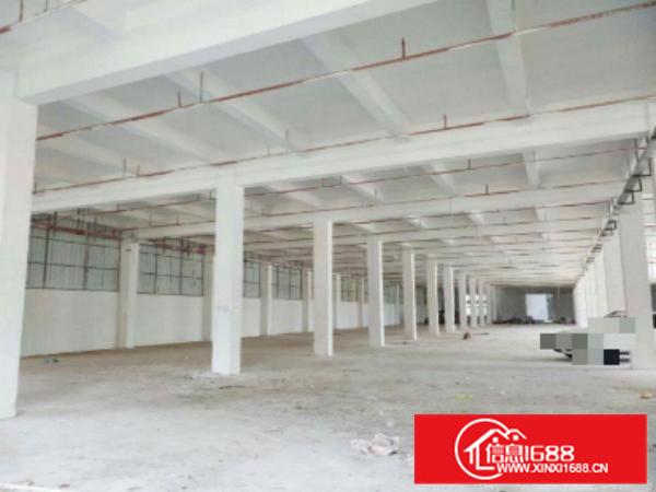 高埗标准一楼重工业厂房1500平方出租水电齐全，有办公室装修