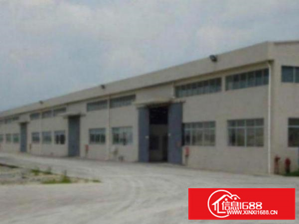 万江钢结构独院单一层铁皮800平米厂房仓库招租