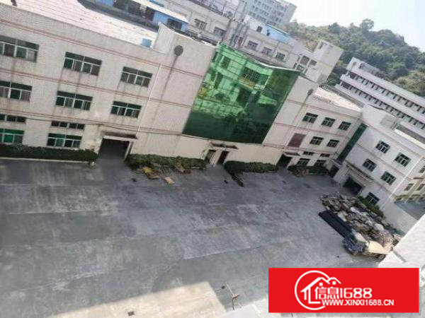 凤岗雁田海关，独院厂房出租15600平方有红本