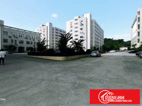 五联原房东3楼2000平方超靓漂亮实用.