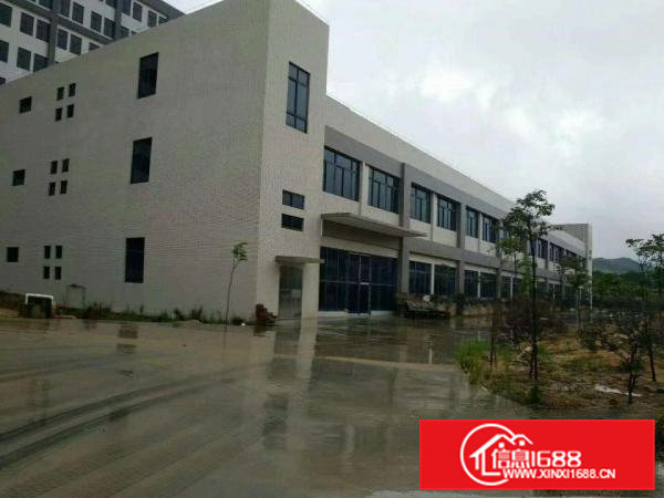 桥头镇标准厂房独院空地大3000平方