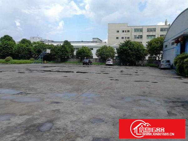 出租仲恺潼湖新出独门独院钢构中间无柱子适合各个行业可办环评