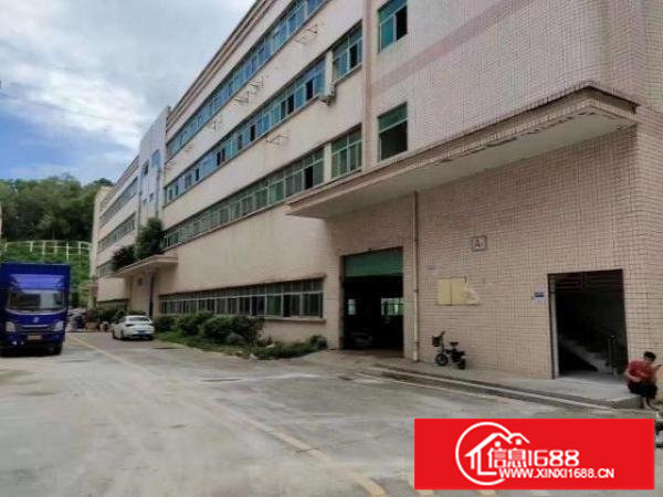 新出来独门独院空地大