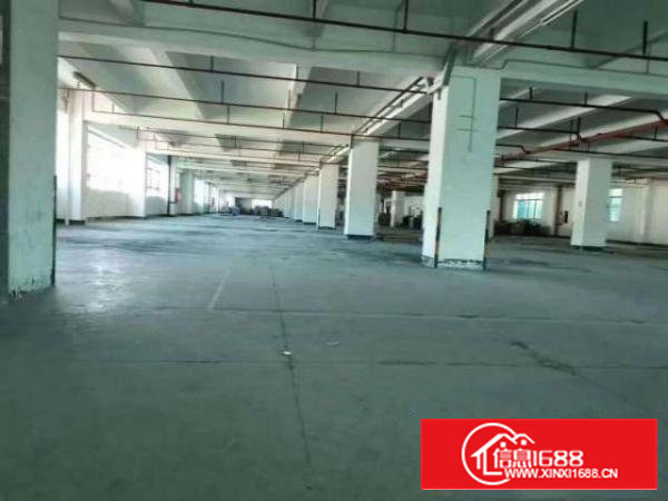 沙井107国道新桥第三工业区一楼500到1000平厂房出租。