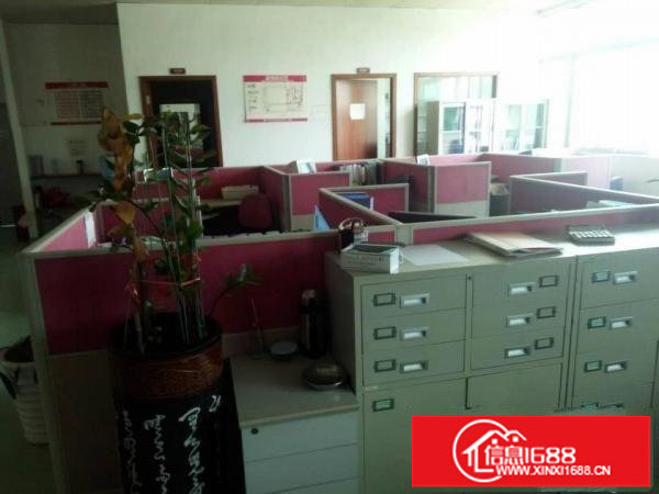 大和路口800平米精装出租