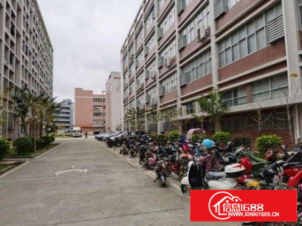 凤岗精博工业园原房东带牛角东莞3万平厂房出租空地大好进车