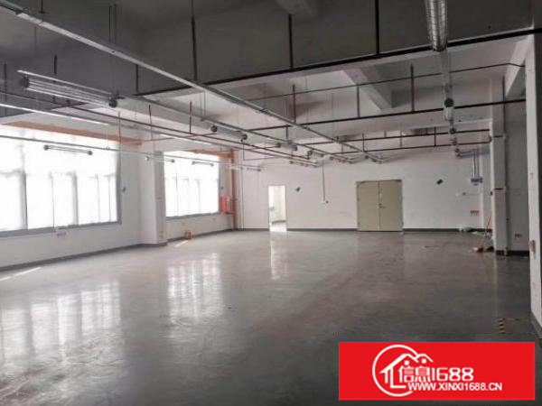 出租!坂田杨美五和雪象一楼二楼厂房仓库出租100-3000平