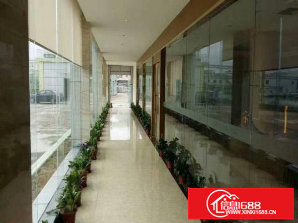 镇隆新出层高11米重工钢构厂房10000平米出租