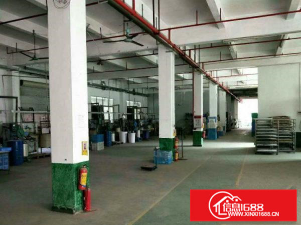 带装修大岭山镇工业园出租一楼800平厂房有现成办公室空地大