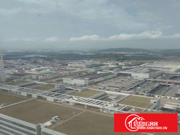 平湖白泥坑海吉星附近现成大小冷库出租，23平方起租