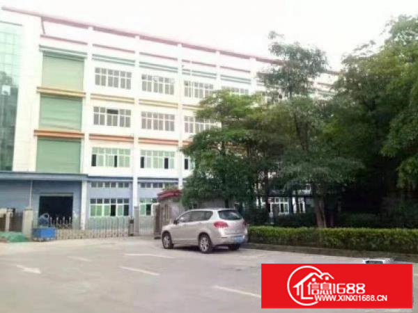 华南城地铁口，新出580平等精装电商贸易办公楼，可办公可仓库