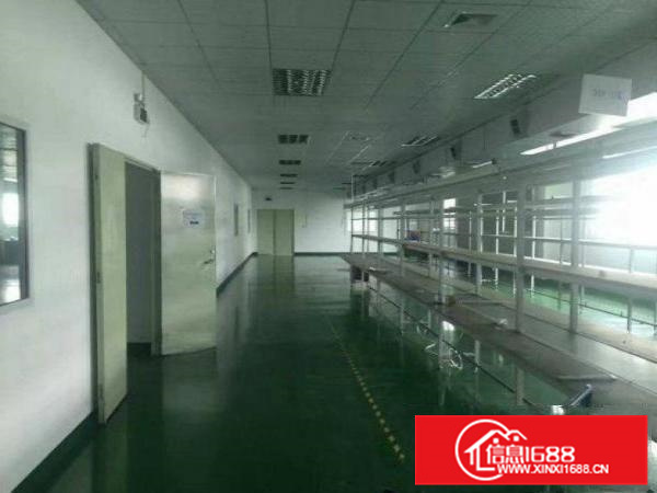 博罗福田新空楼上装修厂房960平招租可分可整租