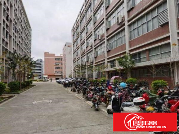 凤岗雁田前卫工业园区三楼500平可分租形象好超大空地厂房出租